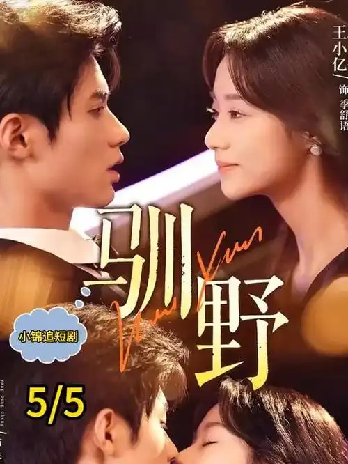 归途列车温情剧集在线观看